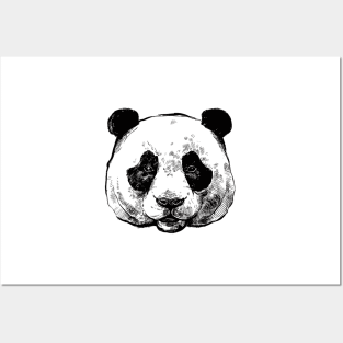 Panda Bear Posters and Art